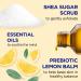 Dr Teal's Shea Sugar Body Scrub with Prebiotic Lemon Balm and Essential Oils 19 oz - Transform Your Style with the Best Innovation Today! - Buy Online on SooperMarket.com