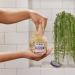 Discover Dr Teal's Shea Butter & Almond Oil Shea Sugar Scrub 19 oz - Elevate Your Style Instantly! - Buy Online on SooperMarket.com