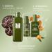 Origins Dr. Andrew Weil Mega-Mushroom Fortifying Emulsion 3.4 oz - Transform Your Style with the Best Innovation Today! - Buy Online on SooperMarket.com