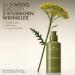 Discover Origins Plantscription Active Wrinkle Correction Serum 1.0 oz - Elevate Your Style Instantly! - Buy Online on SooperMarket.com