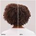 Ouidad Botanical Boost Multi-Use Curl Foam 7.0 oz - Transform Your Style with the Best Innovation Today! - Buy Online on SooperMarket.com