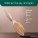 Discover EcoTools Shine Activating Detangler Hairbrush - Elevate Your Style Instantly! - Buy Online on SooperMarket.com