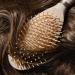 Discover EcoTools Shine Activating Detangler Hairbrush - Elevate Your Style Instantly! - Buy Online on SooperMarket.com