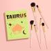 Discover Spectrum Taurus 6-Piece Makeup Brush Set - Elevate Your Style Instantly! - Buy Online on SooperMarket.com