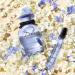Discover Dolce&Gabbana Dolce Blue Jasmine Eau de Parfum 2-Pc Gift Set - Elevate Your Style Instantly! - Buy Online on SooperMarket.com