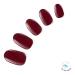 Dashing Diva Red Velvette Glaze Starter Kit - Transform Your Style with the Best Innovation Today! - Buy Online on SooperMarket.com
