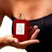 Discover Ellis Brooklyn APPLE LOVE Eau de Parfum 1.7 oz - Elevate Your Style Instantly! - Buy Online on SooperMarket.com