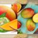 Cuccio Mango & Bergamot Butter Blend 8oz - Buy Online on SooperMarket.com