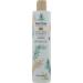Buy Pantene Sulfate Free Shampoo - Rosemary Detangling Color Safe 9.6 oz | International Shipping - Buy Online on SooperMarket.com