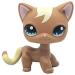Wooer Cute Animal Pet Cat Collection Child Girl Cat Figure Toy - Adorable Playtime Companion for Kids - Buy Online on SooperMarket.com
