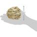 Trixie 61825 Grass Ball with Bell - 10 cm | Interactive Cat Toy for Fun Playtime - International Shipping Available - Buy Online on SooperMarket.com