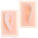 Model of Ear A Model of Silicon Ears Couple Human Model The of The Medical Research Pelle9 7 X 6.3 Centimeters / 3.82 X 2.48Inch - Buy Online on SooperMarket.com