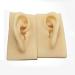 Artificial Human Pattern Silicone Ear - Silicone Simulation Ear for Micro Plastic Surgery Module Piercing Ear Piercing Teaching Demonstration