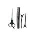 Professional Barber Set of Scissors and Hair Comb for Hairdressing Hair Cutting Thinning and Texturizing Perfect for Salon and Home Use (4pc Hair Cutting Set)
