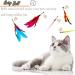 OODOSI Interactive Cat Wand Toy with 2 Poles & 9 Attachments - Fun Feather Toy for Indoor Kittens and Cats - Buy Online on SooperMarket.com