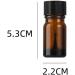 JIHUOO 5ml Empty Nail Polish Bottles - Glass Nail Polish Containers with Brush - Pack of 5 - Buy Online on SooperMarket.com