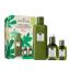 Origins Calm & Steady Mega-Mushroom Essentials To Soothe & Strengthen