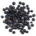 Organic Certified Rawseed Black Lentils - Non-GMO, 2 lbs - Grown in Canada, Packaged in USA - Buy Online on SooperMarket.com