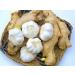 TRS Minced Ginger & Garlic Paste 1kg | Authentic Flavor | Premium Quality | Versatile Usage | No Added Preservatives | Consistent Taste - Buy Online on SooperMarket.com
