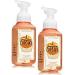 Bath and Body Works 2 Pack Pumpkin Cupcakes Gentle Foaming Hand Soap. 8 Oz Pumpkin 8 Fl Oz (Pack of 2)
