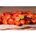 Praise Red Palm Oil 2-Liters - Zomi: Pure and Sustainable Cooking Oil - Buy Online on SooperMarket.com