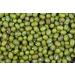 Jiva Organics 4 LB Large Bag Organic Mung Beans - Green Moong Beans - Buy Online on SooperMarket.com