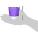Munchkin Splash Open Toddler Cups 7oz Multicolored 4 Pack with Training Lids - Buy Online on SooperMarket.com