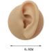 Silicone Ear Model - Human Ear Model Simulation - for Human Body Piercing Acupuncture and Moxibustion Ear Practice Ear Teaching - Buy Online on SooperMarket.com