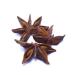 Star anise ORGANIC whole 100g from Dragonspice Naturwaren whole 100g