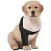 Suitical Recovery Sleeve for Small Dogs - Black | Dog Post-Op Protection - Buy Online on SooperMarket.com