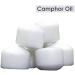 Camphor Oil (Cinnamonutn camphora) 100% Natural Pure Undiluted Uncut Carrier Oil 100ml with Dropper Camphor 100 ml with dropper - Buy Online on SooperMarket.com
