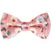 Shop Tagme Cats Collars - Personalized Name & Phone Number Safety Closure & Bell - Baby Pink Kitten Neck Band - 1 Pack - Buy Online on SooperMarket.com
