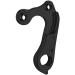 Fuji Bicycles Derailleur Hanger d025 | Forest Byke Company | Dropout 215 | Fits Absolute Cross Sportif | Specific Models & Years - Buy Online on SooperMarket.com