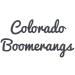 Glow in The Dark Bumblebee Boomerang - Easy Returning Boomerangs | Buy Online - Buy Online on SooperMarket.com