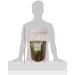 JustIngredients Premier Sage 1kg - Top Quality Sage for Culinary Use - Buy Online on SooperMarket.com