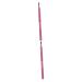 Didiseaon 2pcs Lipstick Brush Lip Applicator Wands Lip Brush Applicator Cosmetics Lip Brush Make up Applicators for Face Makeup Brush Tool Portable Travel Lip Gloss Brush Pink 9.3*1cmx2pcs Pinkx2pcs