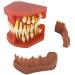 LBYLYH Standard model of the teeth teeth dental model of the Studios system teaches standard model with exchange tooth for children and display for adult study tool
