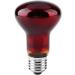 POFET 2pcs Reptile Heating Bulbs Durable Infrared Heat Lamp Warming Light Bulb Red Pet Light for Reptile and Amphibian Lizard Tortoise Spider Snake Chameleon 220-240V(100W) - Buy Online on SooperMarket.com