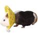 NashaFeiLi Pet Recovery Collar Elizabethan Small Animal Hamster Collar Cone Adjustable Comfy Collar for Hamster Chinchilla Small Pet (S Yellow) S Yellow - Buy Online on SooperMarket.com