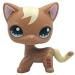 Wooer Cute Animal Pet Cat Collection Child Girl Cat Figure Toy - Adorable Playtime Companion for Kids - Buy Online on SooperMarket.com