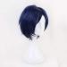 Tenya Iida Blue Short Wig - Cosplay Costume from Boku No Hero Academia | Heat Resistant Synthetic Hair for Men - Buy Online on SooperMarket.com