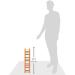 Prevue Pet Products 15-Rung Wood Bird Ladder - Multi-Color | Best Price & Quality - Buy Online on SooperMarket.com