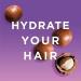 HASK Moisturizing Conditioner with Macadamia Oil - 355ml | Color-Safe Animal Test-Free Ideal for All Hair Types - Shop Now! - Buy Online on SooperMarket.com