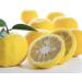 CHILL TEA Tokyo Yuzu Citrus Green Tea - Japanese Loose Leaf Blend for Relaxation - Yuzu Flavour - 30g - Buy Online on SooperMarket.com