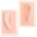 Silicone Ear Template for School Acupuncture Treatment Kit 1: 1 Nature Silicone Ear Template 1 Pair for Presentation Tool left ear - Buy Online on SooperMarket.com