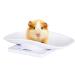 Digital Baby Pet Scale with Removable Tray - Multi-Function Weight Record for Puppy, Cats & Small Animals - Buy Online on SooperMarket.com