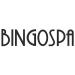 Buy BINGOSPA 500ml Sulfur Bath Foam - Bubble Baths & Skin Care Additives for Calluses & Hair Care - Buy Online on SooperMarket.com
