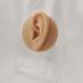 Silicone Ear Model - Human Ear Model Simulation - for Human Body Piercing Acupuncture and Moxibustion Ear Practice Ear Teaching - Buy Online on SooperMarket.com