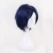 Tenya Iida Blue Short Wig - Cosplay Costume from Boku No Hero Academia | Heat Resistant Synthetic Hair for Men - Buy Online on SooperMarket.com