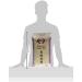 I Sushi Premium Sushi Rice 5kg - Authentic Japanese Rice for Perfect Sushi Rolls - Buy Online on SooperMarket.com